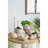 11.5X7x7" Sand And Cement Nautilus Shell Planter With Textured Beige Finish