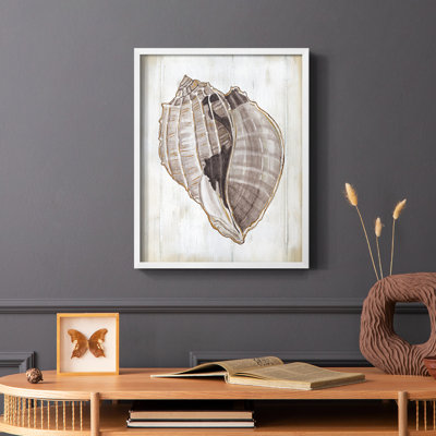 Ocean Cone II Framed Print - Solid Wood