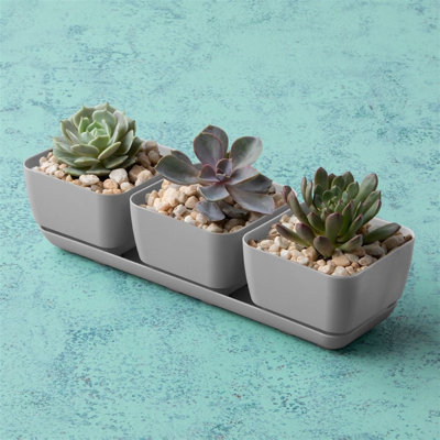Kuplerski Pot Planter