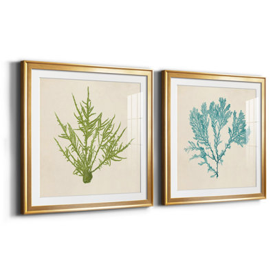 " Chromatic Seaweed VII " 2 - Pieces