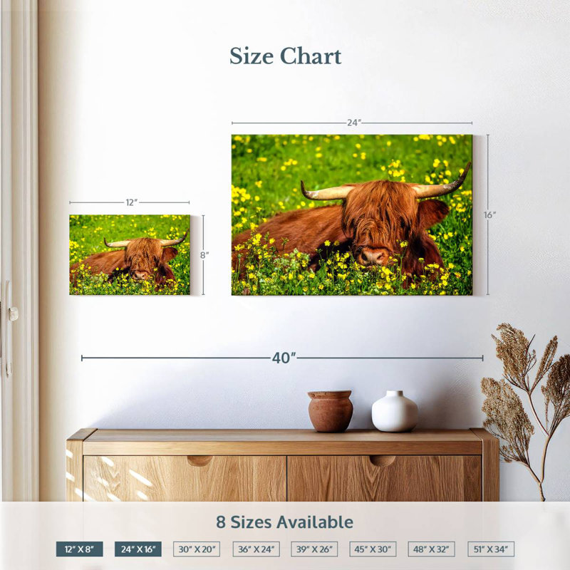 Brampt Red Highland Cow, 16" H x 24" W