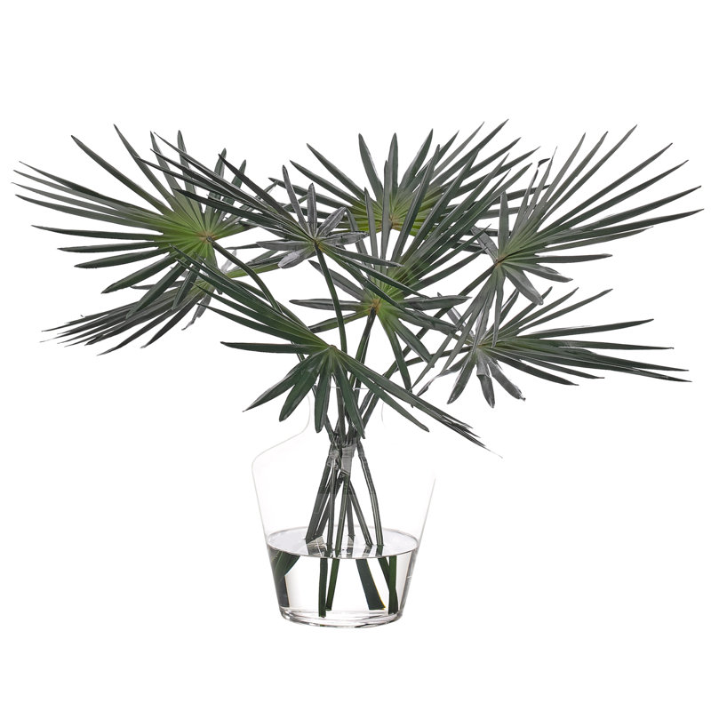Fan Palm, Glass Vase, 30wx26dx21h