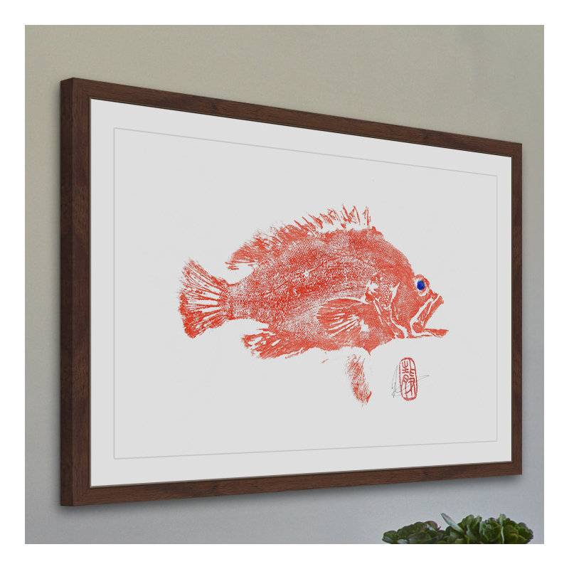 « tacheté grouper », reproduction d’art encadrée, H 24 po x l 36 po x P 1,5 po