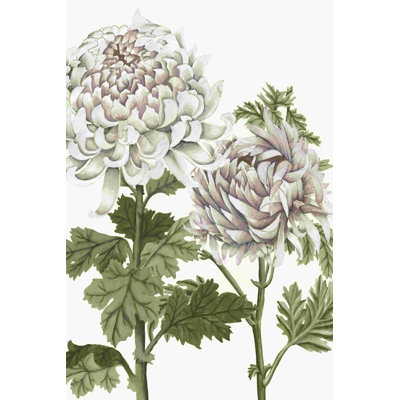 Au début du printemps, Chrysanthèmes III