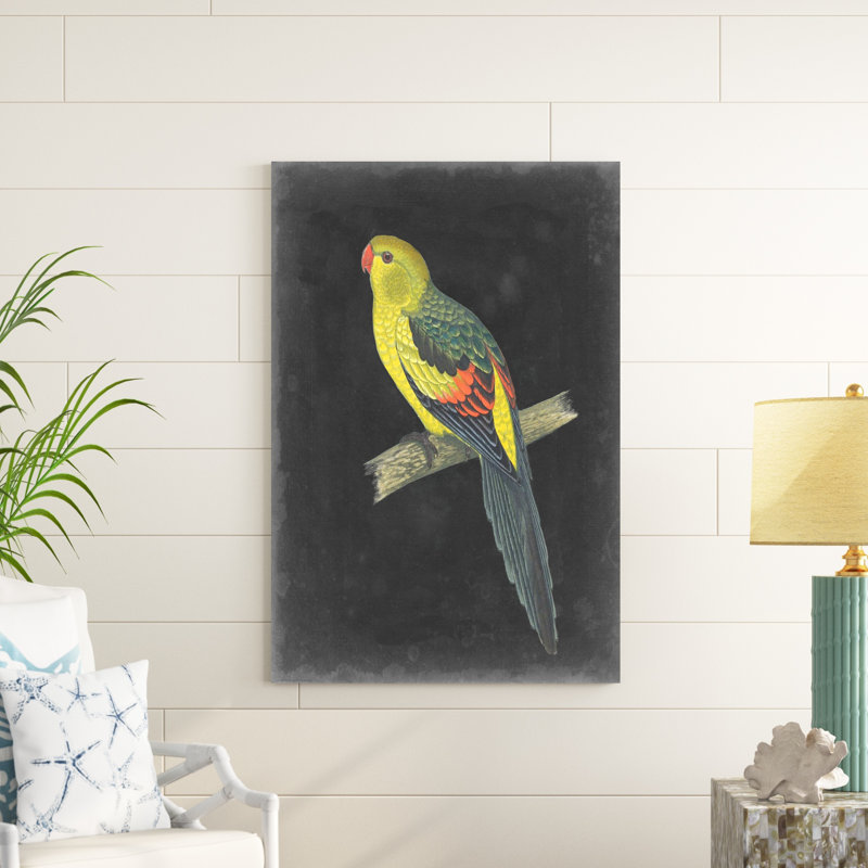 " Dramatic Parrots VI " by Vision Studio Painting Print, 48" H x 32" W x 1.25" D