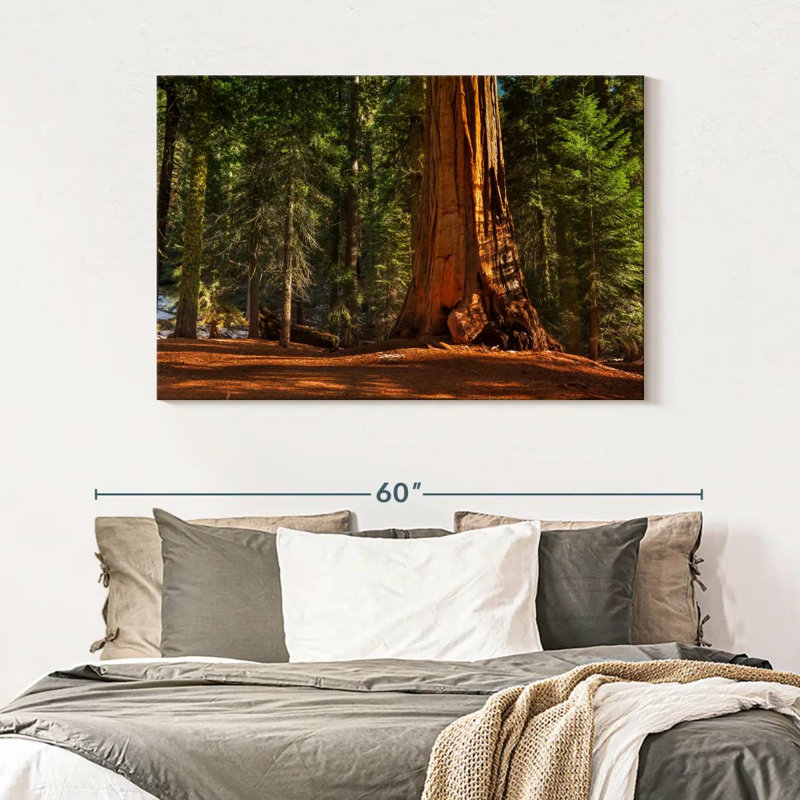Alvord général Grant Grove arbres