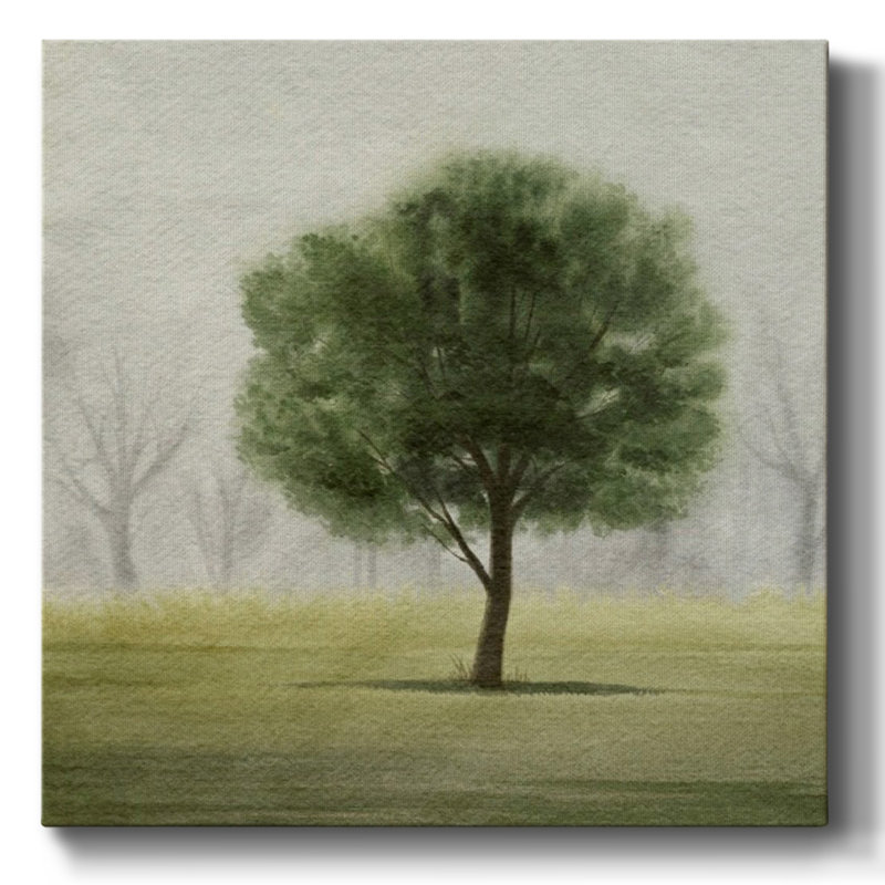 Awakening Tree II sur impression sur toile, H 16 po x l 16 po