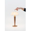Flaminia-1133947235