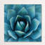 « sud-ouest », impression sur toile tendue-52963027