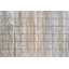 «Aspen Forest 1» par Parvez Taj - reproduction de photo sur bois-1524300751