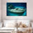 Senne Kittiwake Shipwreck-108696980