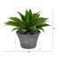Agave artificiel 22 po en pot