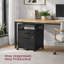 42cm Wide 2 -Drawer Mobile File Cabinet-974395755