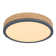 Tejal Plastic LED Flush Mount