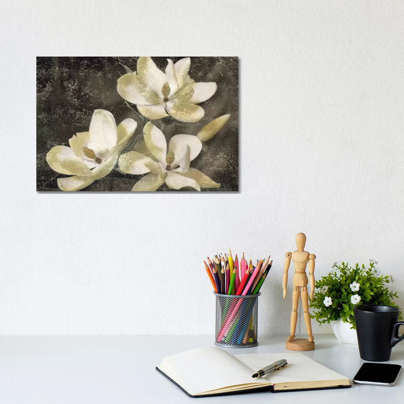 The Magnolia Tree by John Seba - Wrapped Canvas Print, 20.32 cm H x 30.48 cm W, Wrapped Canvas
