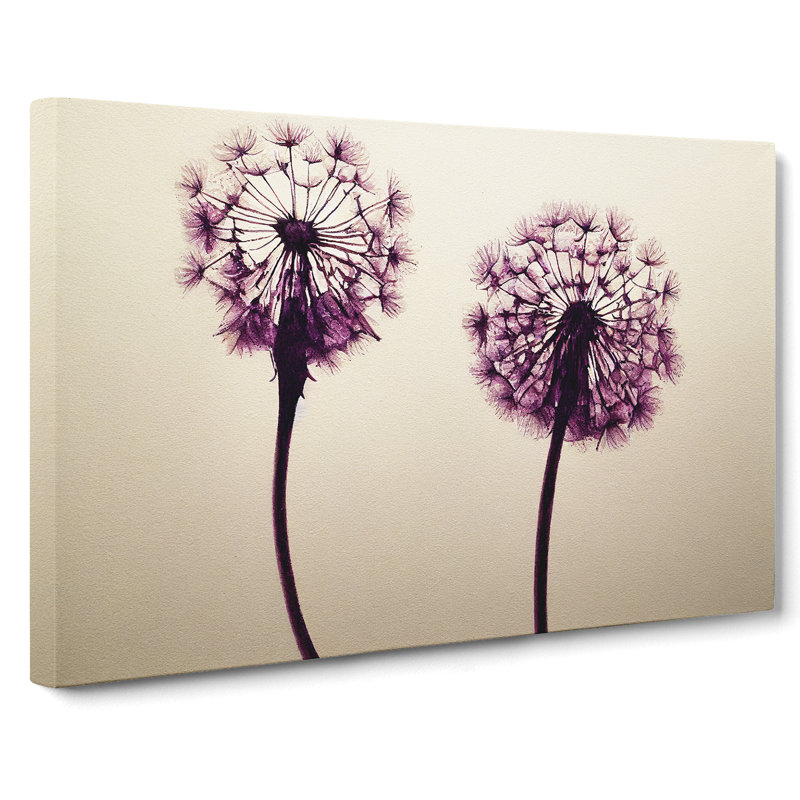 Dandelion - Wrapped Canvas Print, 35cm H x 50cm W x 3cm D
