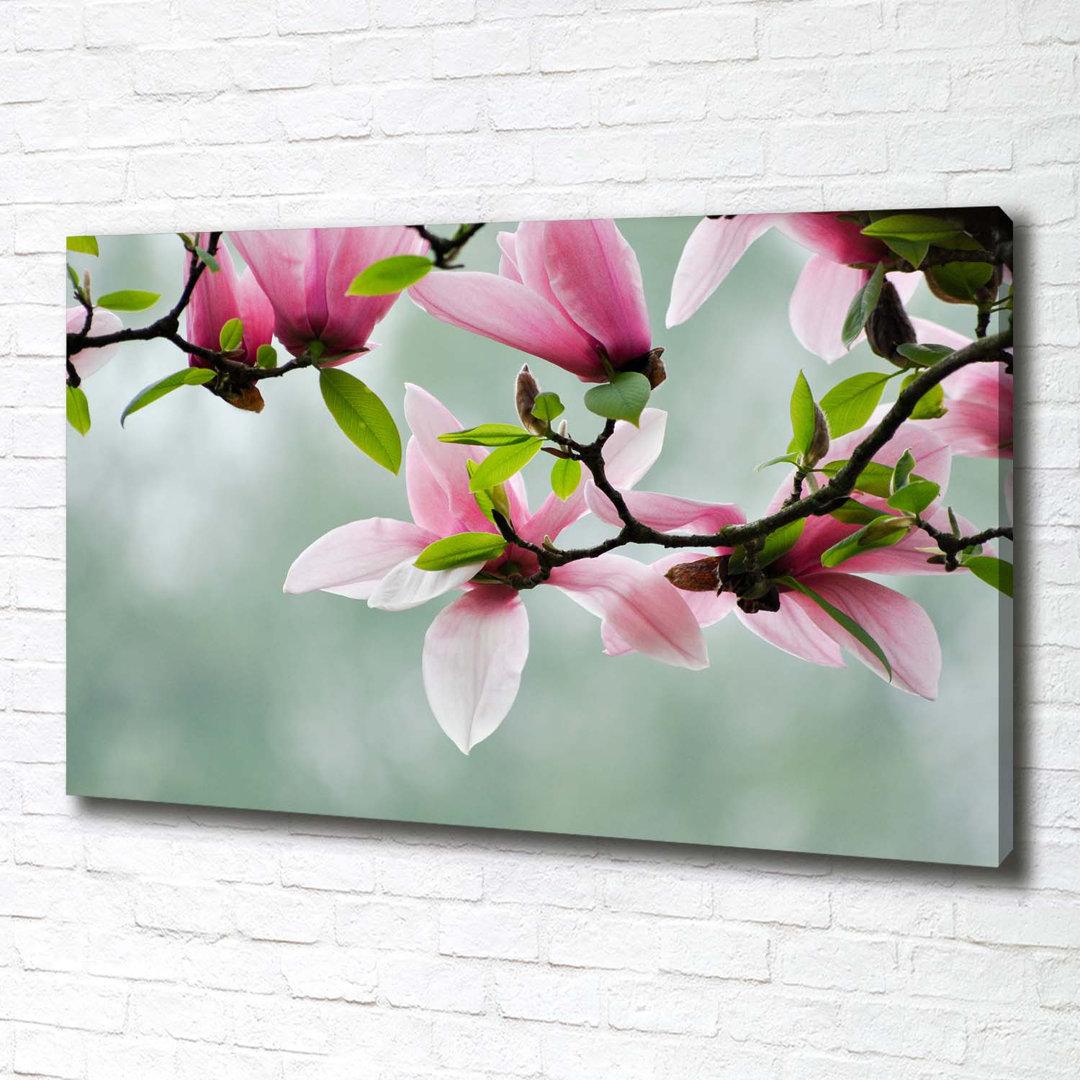 Magnolia - Kunstdrucke auf Leinwand