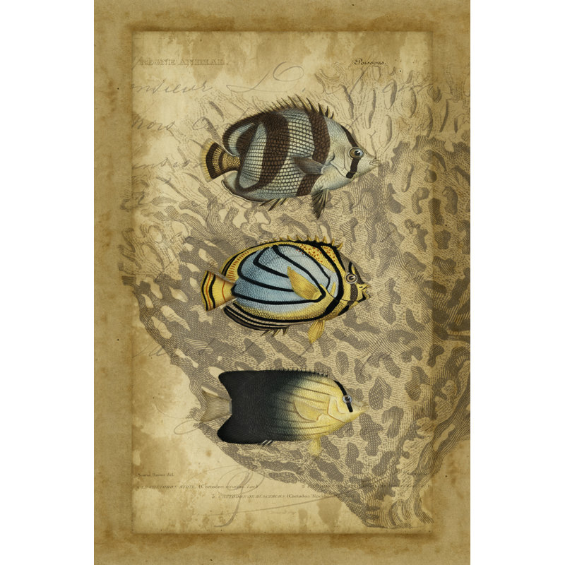 Non-Embellished Ocean Trilogy I - Wrapped Canvas Print, 46cm H x 30cm W x 3.8cm D