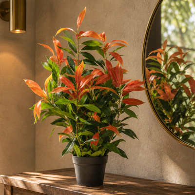 80cm Faux Ficus Plant in Pot Liner