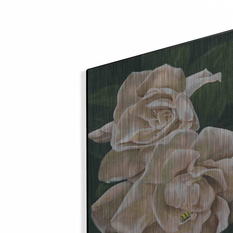 "Redolent" par Barbara Keith, H 16 po x l 12 po