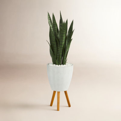 48'' Faux Snake Plant (Sansevieria) Plant in Clay Planter