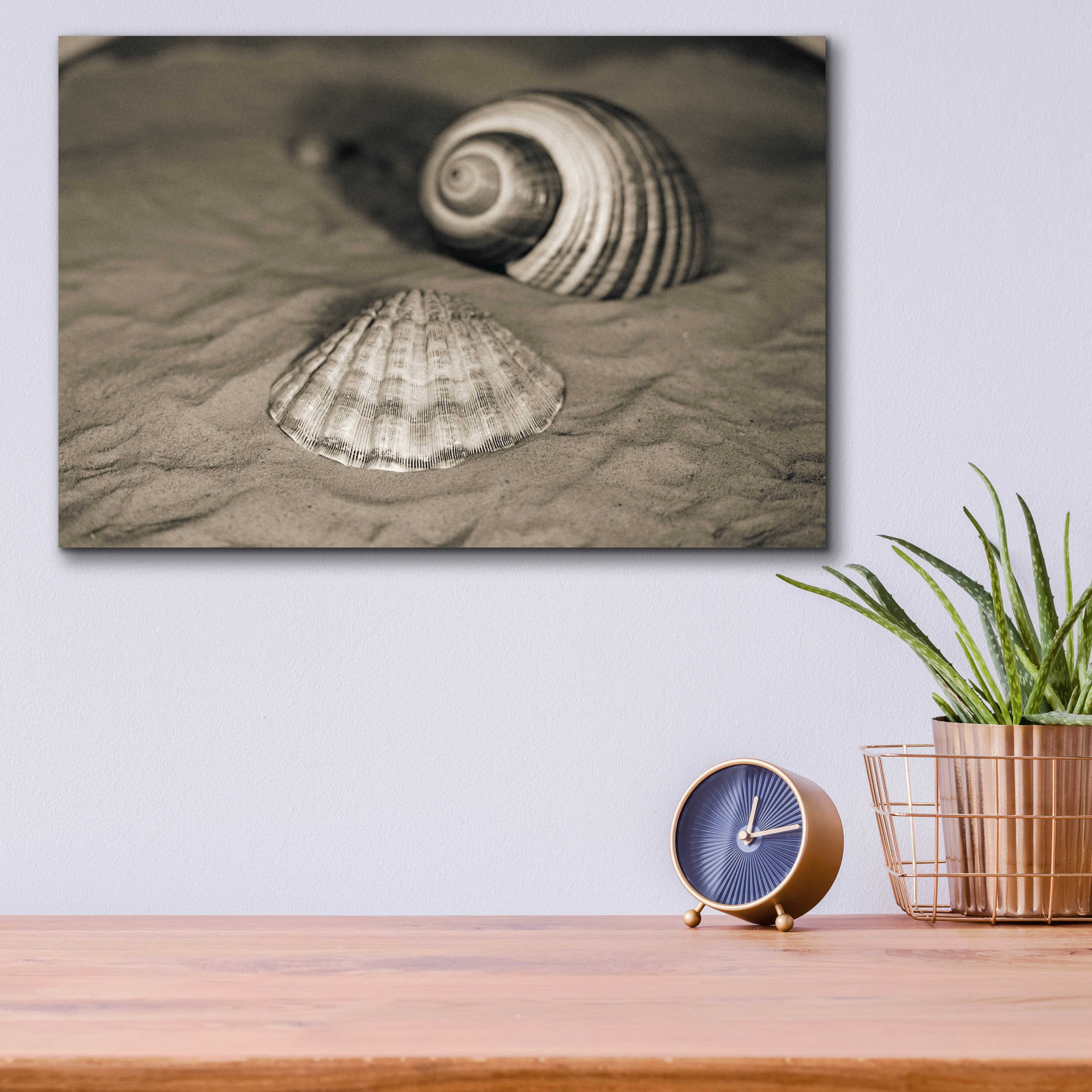 Dovecove Epic Art 'Scallop Tonna' By Debra Van Swearingen, Scallop Tonna On  Plastic / Acrylic by Debra Van Swearingen Print - Wayfair Canada