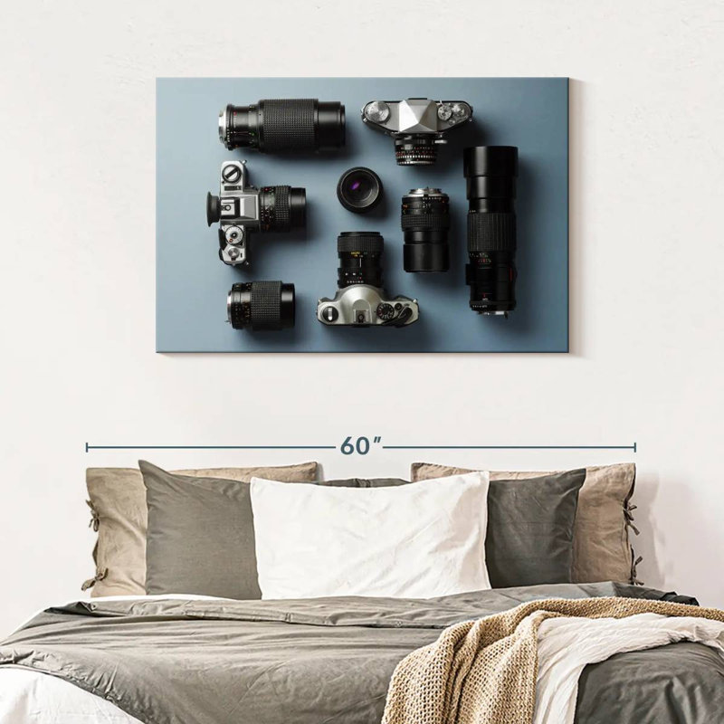 Senne Vintage Cameras, 30" H x 45" W