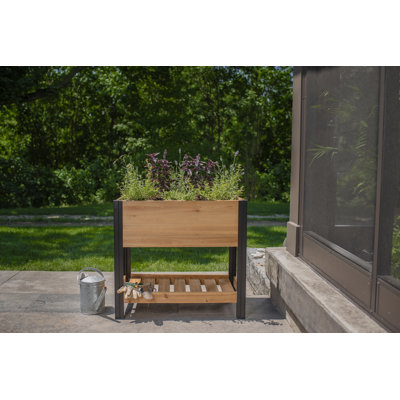 Mezza Cedar Raised Planter