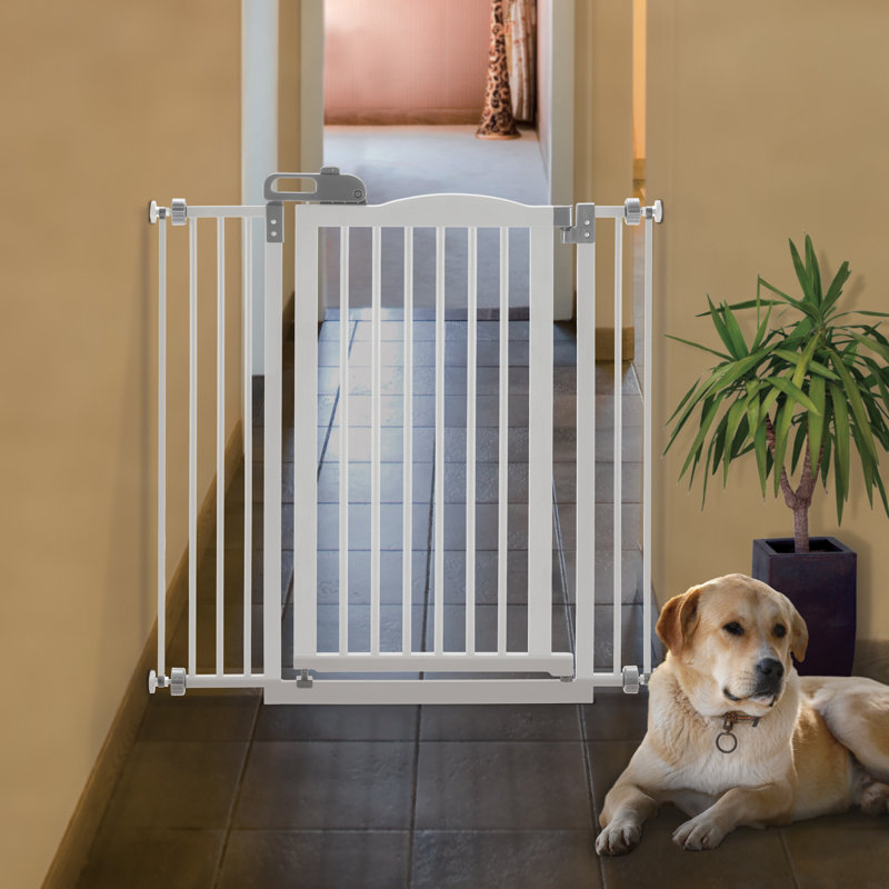 Portail pour animaux de compagnie à fixation par pression, Bois clair, H 38 po x l 36 po
