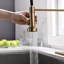Robinet de cuisine rétractable à poignée simple avec accessoires-53000735