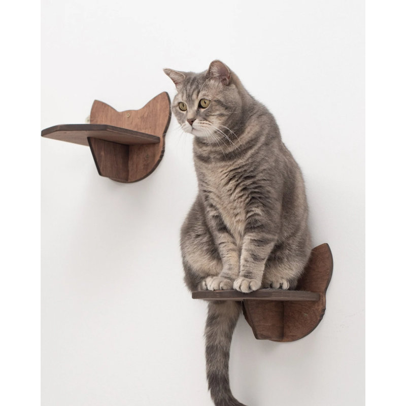 Cat Steps