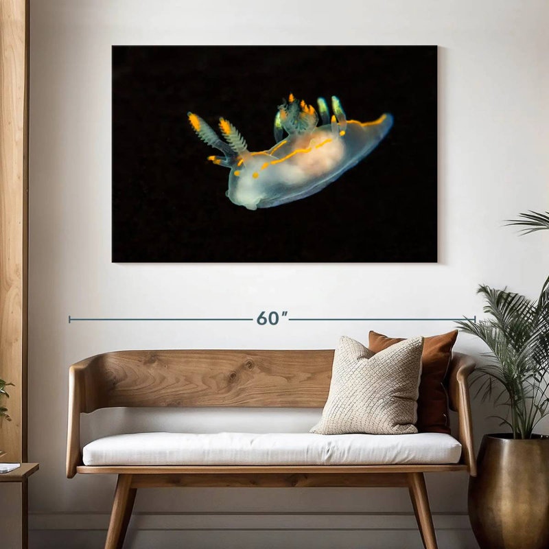 Sea Slug In Dark Waters