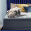 Matelas à plateau-coussin moelleux 11,5 pouces Serta-60121479