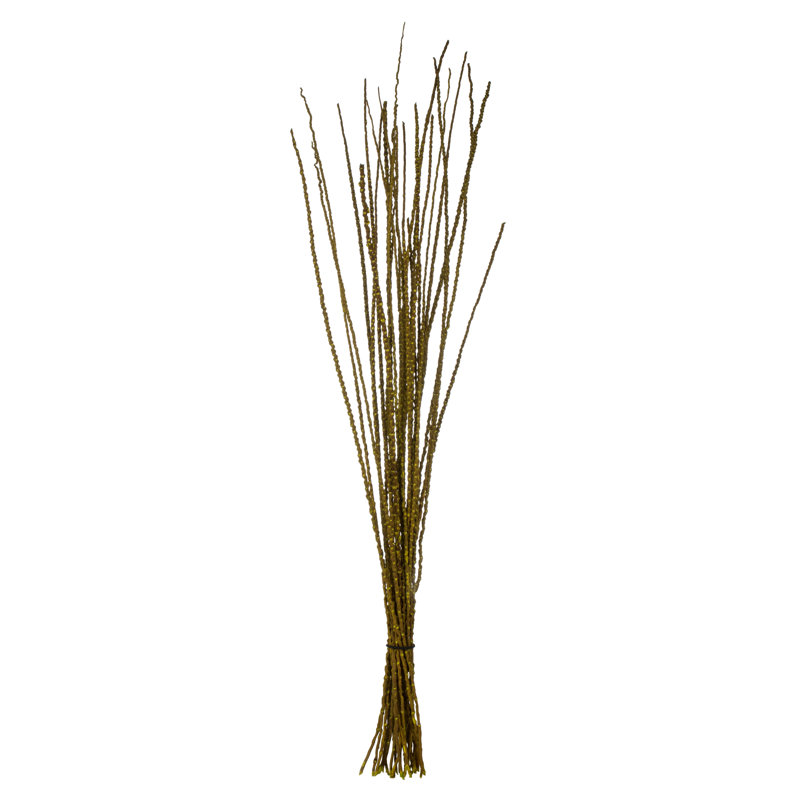 36'' Plant
