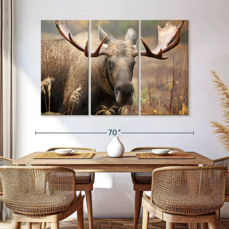 Male Moose, 42" H x 65" W