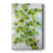Ivy -Custom Wrapped Gallery Cavas-2041991456