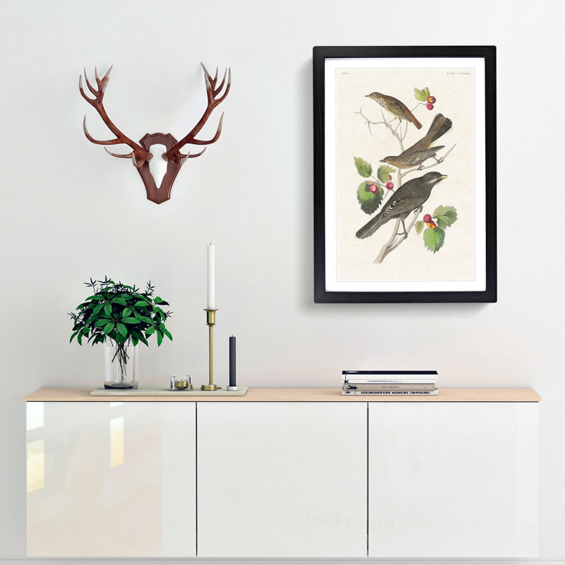Selection of Birds by John Audubon - Picture Frame Painting Print, 48cm H x 36cm W x 2cm D, Black Framed