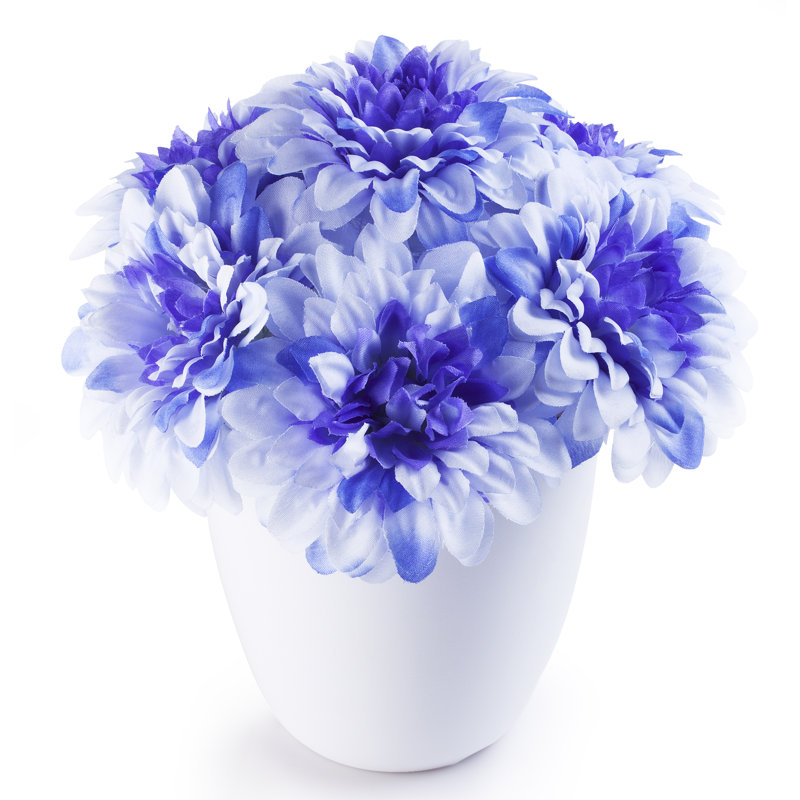 Arrangement floral dahlia en pot, Bleu