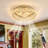Gonick Ceiling Fan with LED Lights