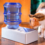 Abby Bowl Automatic Pet Water Dish