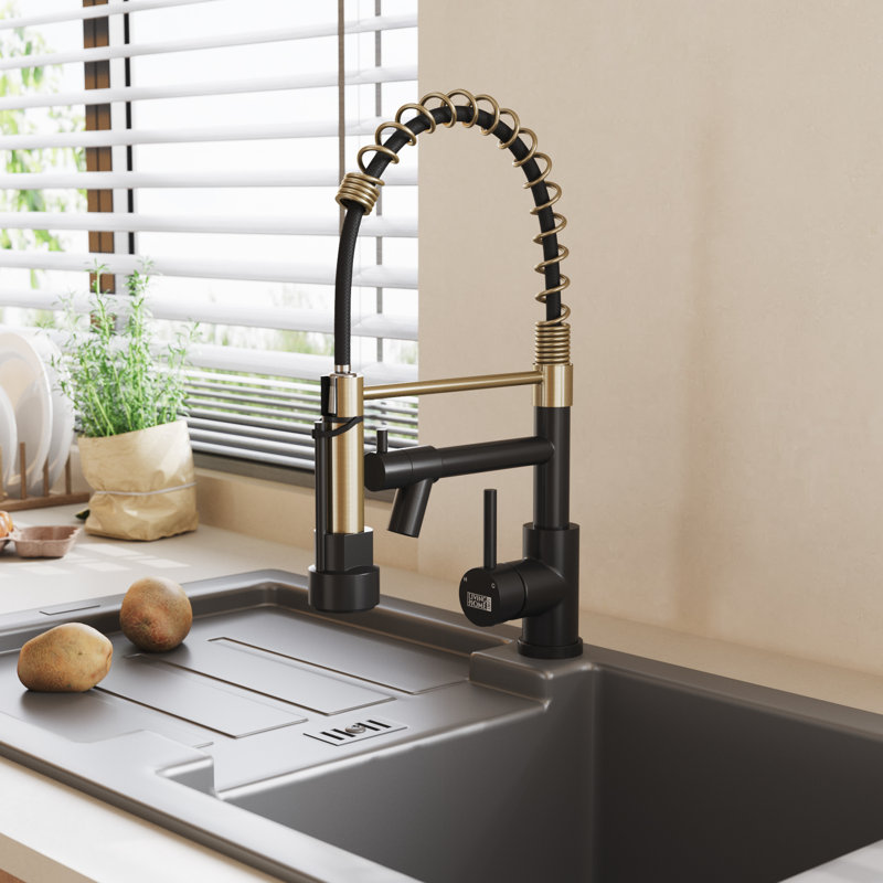 Belfry Kitchen Kitchen Faucet