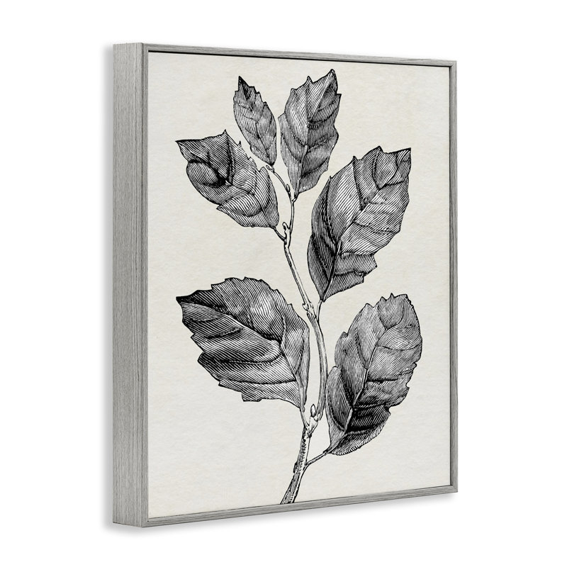 Giclée classique coupée à la branche de feuille, design par Karen Smith, Estampe numérique Farmhouse, H 30 po x l 24 po