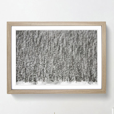 The Winter Forest in Canada in Abstract - Picture Frame Graphic Art Print