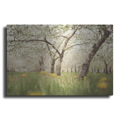 «Quiet Orchard» par Irene ThisCocki