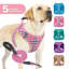 Harnais réglable pour chien avec laisse Gesemyer-252111967