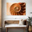 Coque Aletra Nautilus à l'intérieur-107680923