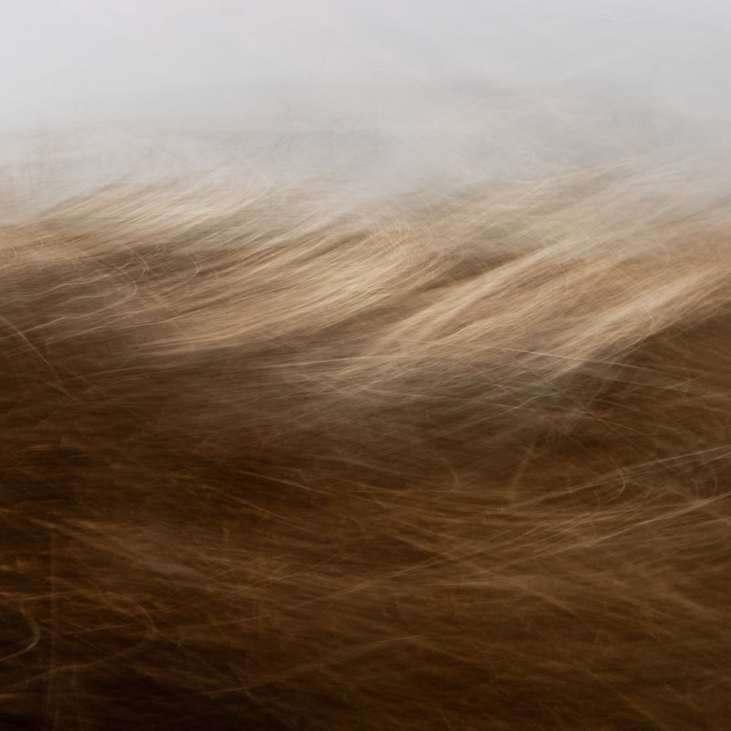 Reality Unfurled Print by Toni Toscano, 20" H x 30" W x 2" D