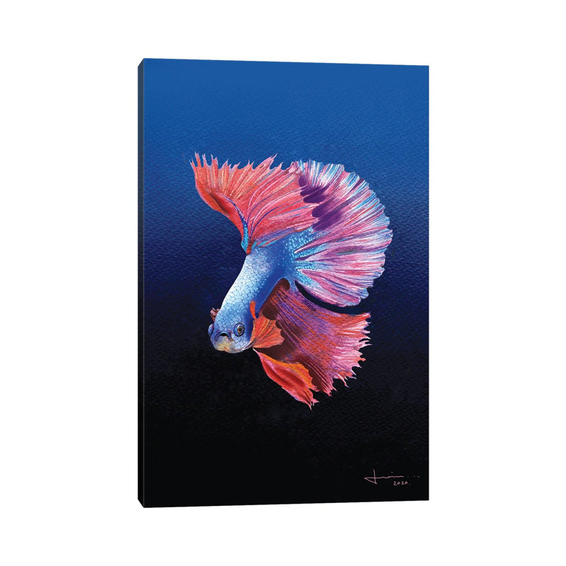 Siamese by Liam Kumawat - Wrapped Canvas Print, 20.32 cm H x 30.48 cm W