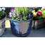 Kingsfield Pot Planter-38455292