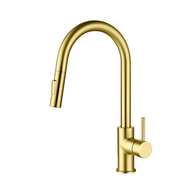 Pull Down Single Handle Kitchen Faucet